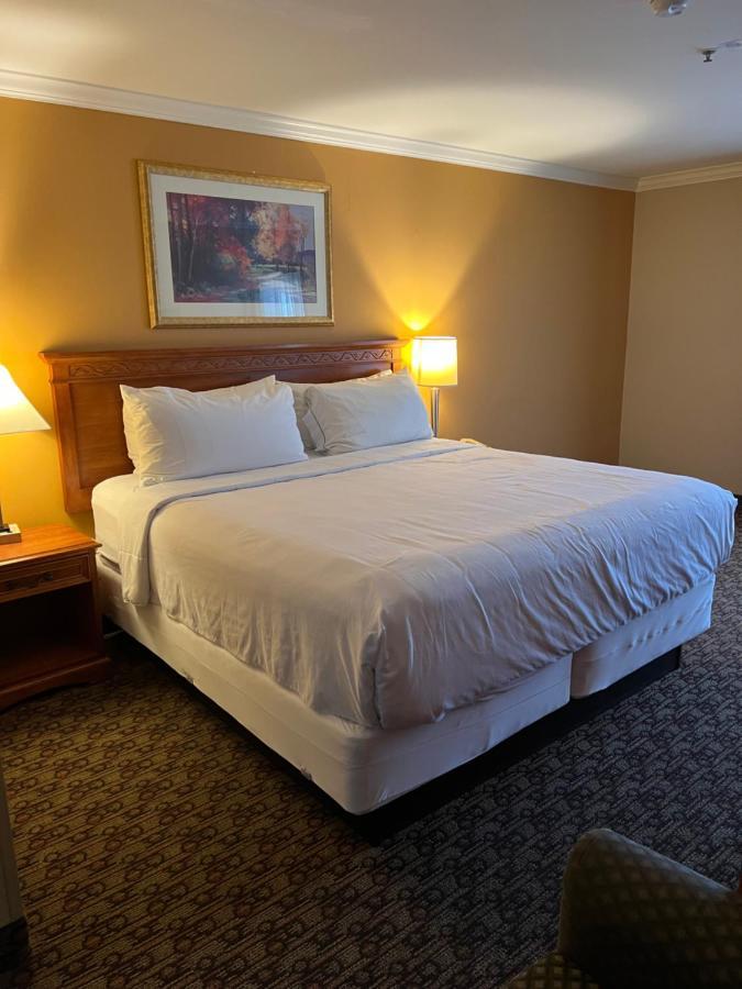 Hotel Xola 모레노밸리 외부 사진
