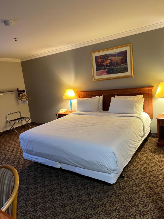 Hotel Xola 모레노밸리 외부 사진